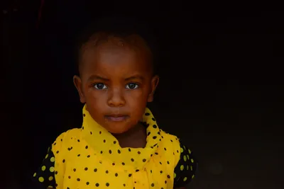 DSC_8965 (Large).JPG